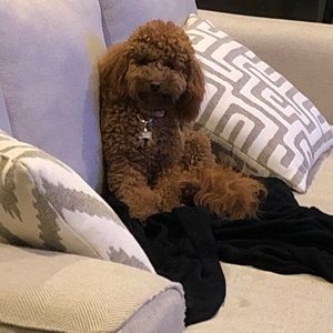 Meet your Posher, Tina